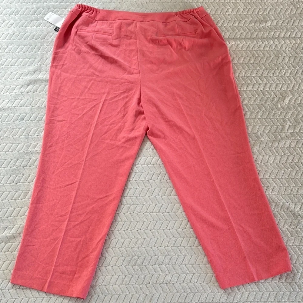NWT Bar III Pink Ankle Pants Size 18W